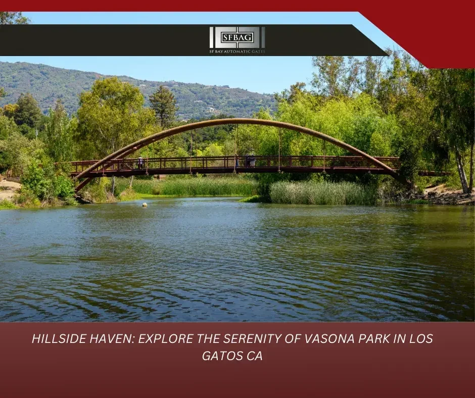 Monarchs, Tide Pools, And Sunsets: A Nature Lover's Guide To Natural Bridges In Santa Cruz , Ca