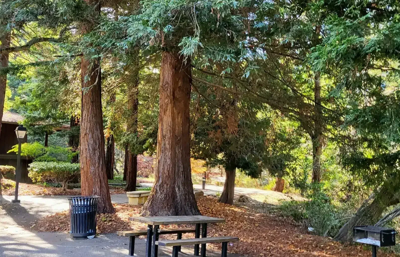 Solutions for Fencing: Professional Contractors' Expertise