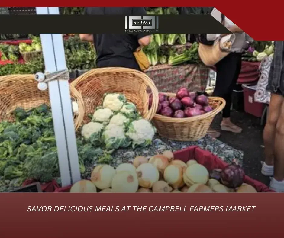 The Architectural Design & Features of The Cathedral Basilica in San Jose