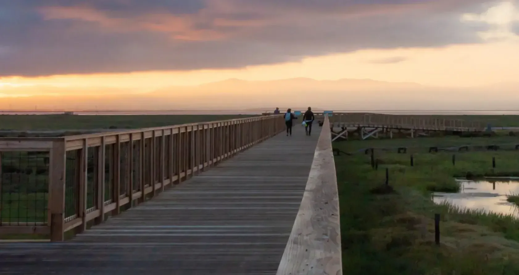 The Pros and Cons of Different Driveway Gate Materials