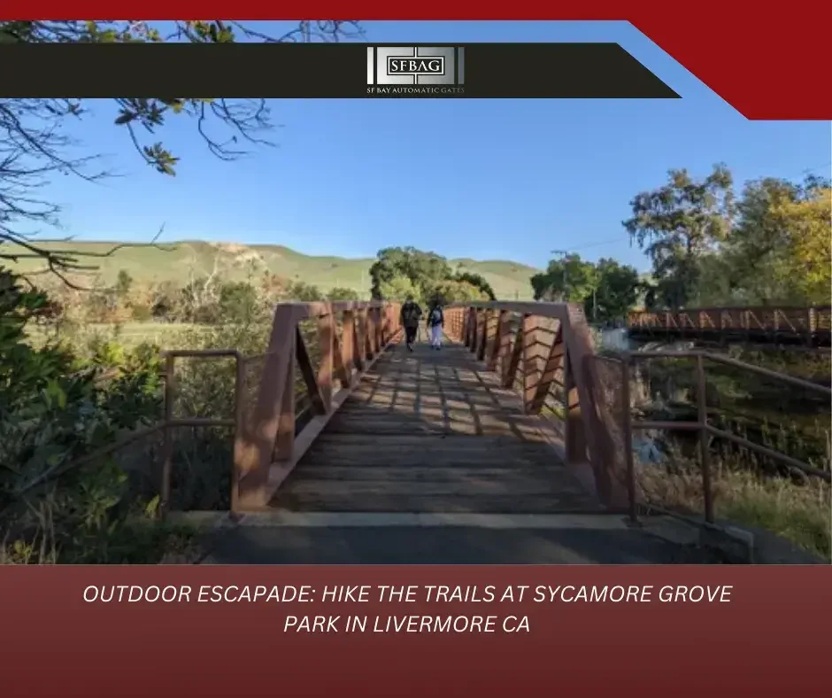 What are the types of automatic gate openers?