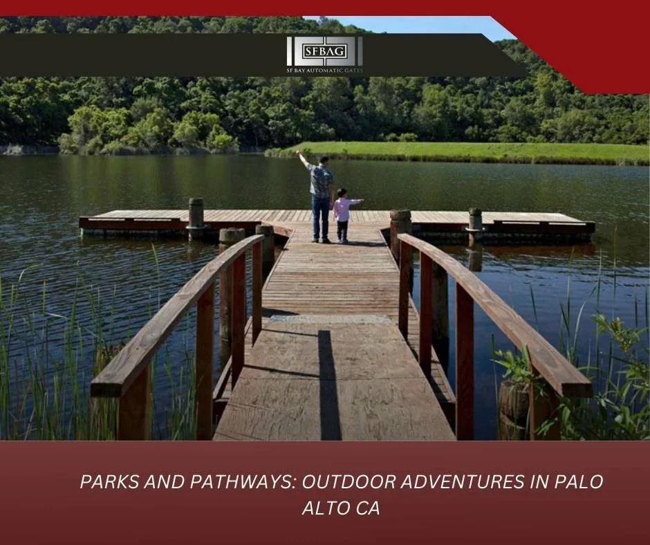 Types of Wood for Fences: Pine, Cedar, Redwood, Cypress - Advice From a Fences Contractor