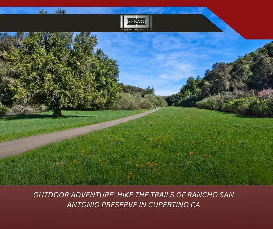 Unique Touches: Contractor-Recommended Customization Ideas From SF Bay Automatic Gates Your Fences Contractor