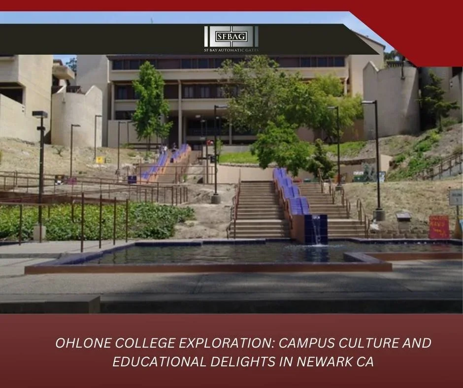 Unveiling the Essentials of Fence Repair