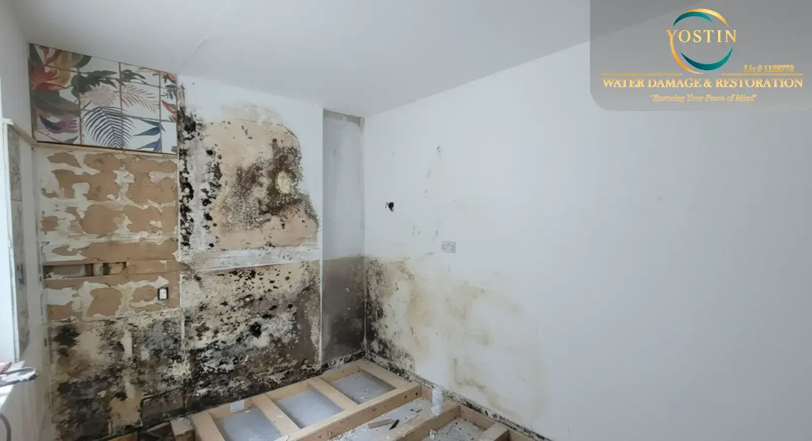 Skipping Dehumidification Causes Mold in San Fernando Valley Homes